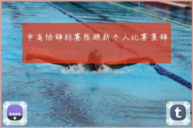 中高协锦标赛陈顾新个人比赛集锦