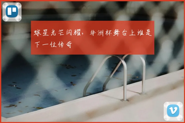 球星光芒闪耀，非洲杯舞台上谁是下一位传奇