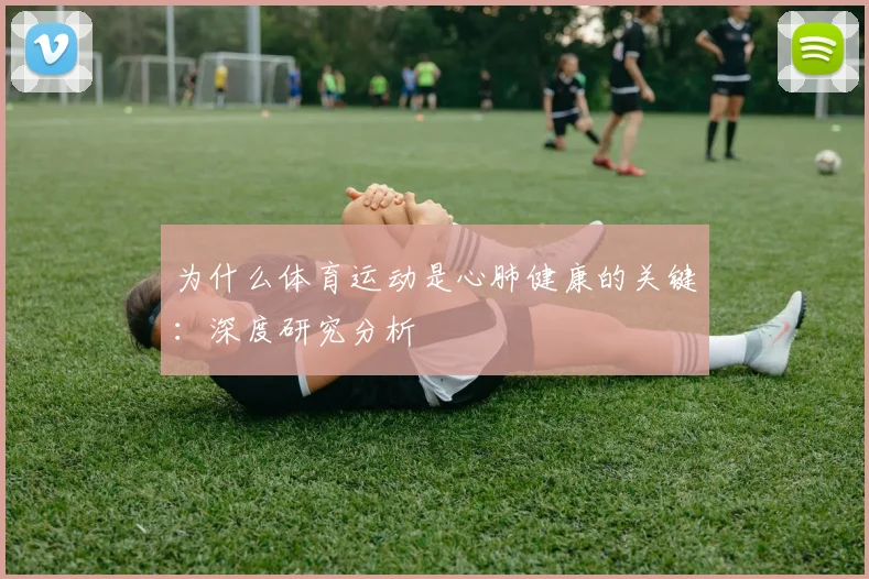 为什么体育运动是心肺健康的关键：深度研究分析