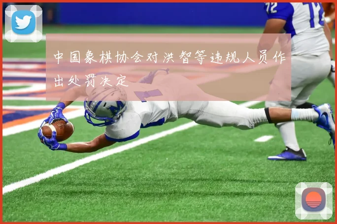 中国象棋协会对洪智等违规人员作出处罚决定