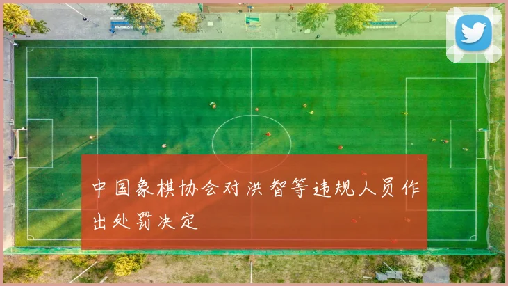 中国象棋协会对洪智等违规人员作出处罚决定