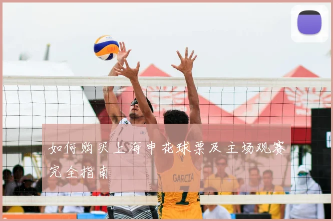 如何购买上海申花球票及主场观赛完全指南